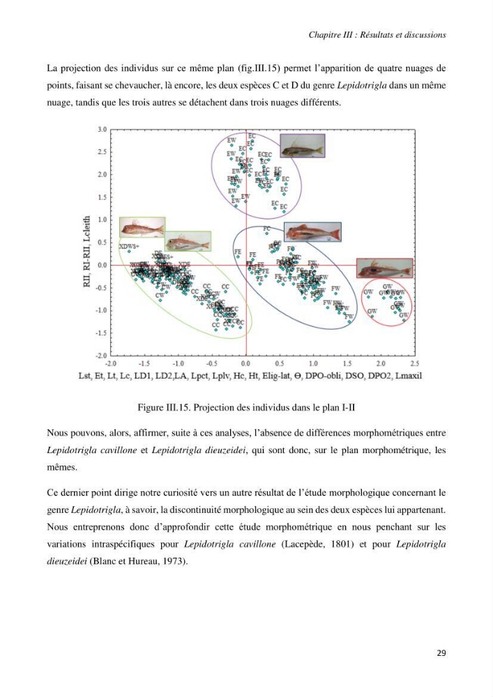 Contribution à l’étude de la systématique de la famille des Triglidae (Ostéichtyens, Actinoptérygiens) du bassin algérien
