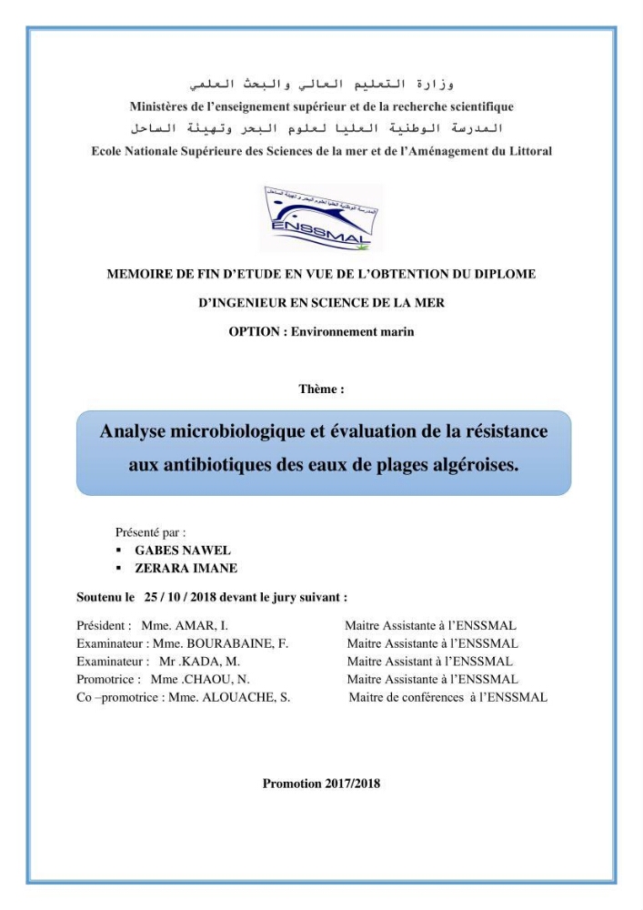 Analyse microbiologique et évaluation de la résistance aux antibiotiques des eaux de plages algéroises.: