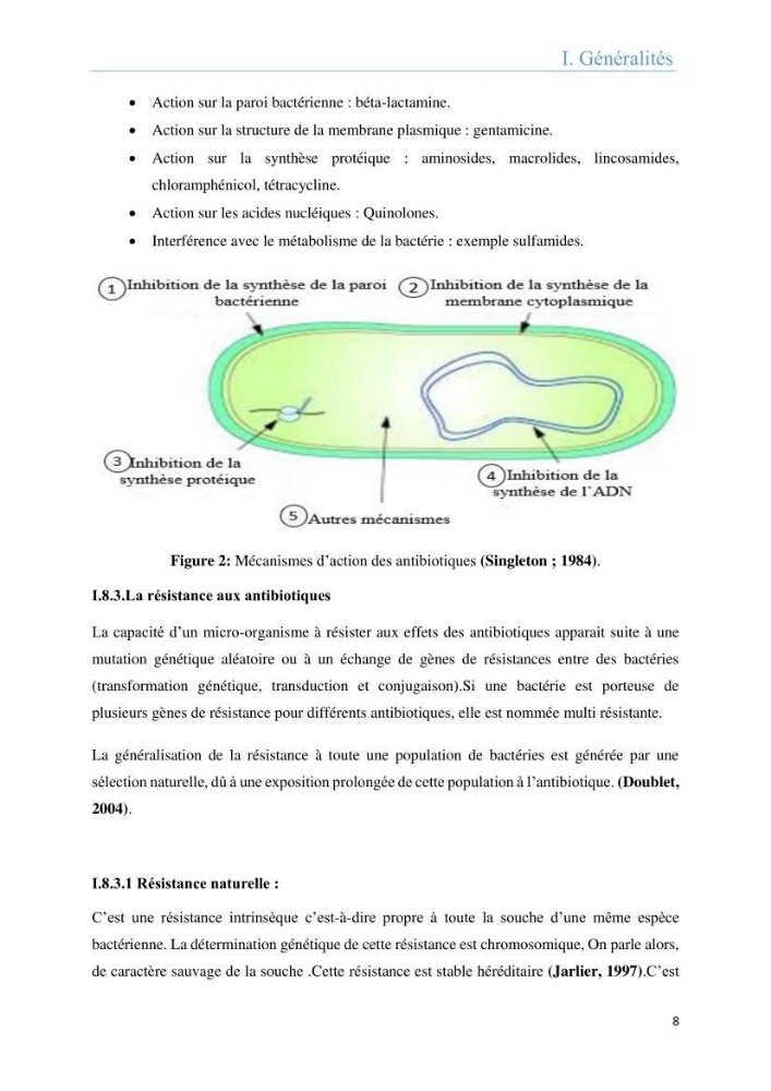 Analyse microbiologique et évaluation de la résistance aux antibiotiques des eaux de plages algéroises.: