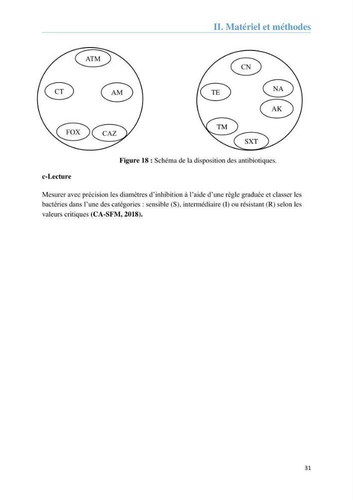 Analyse microbiologique et évaluation de la résistance aux antibiotiques des eaux de plages algéroises.: