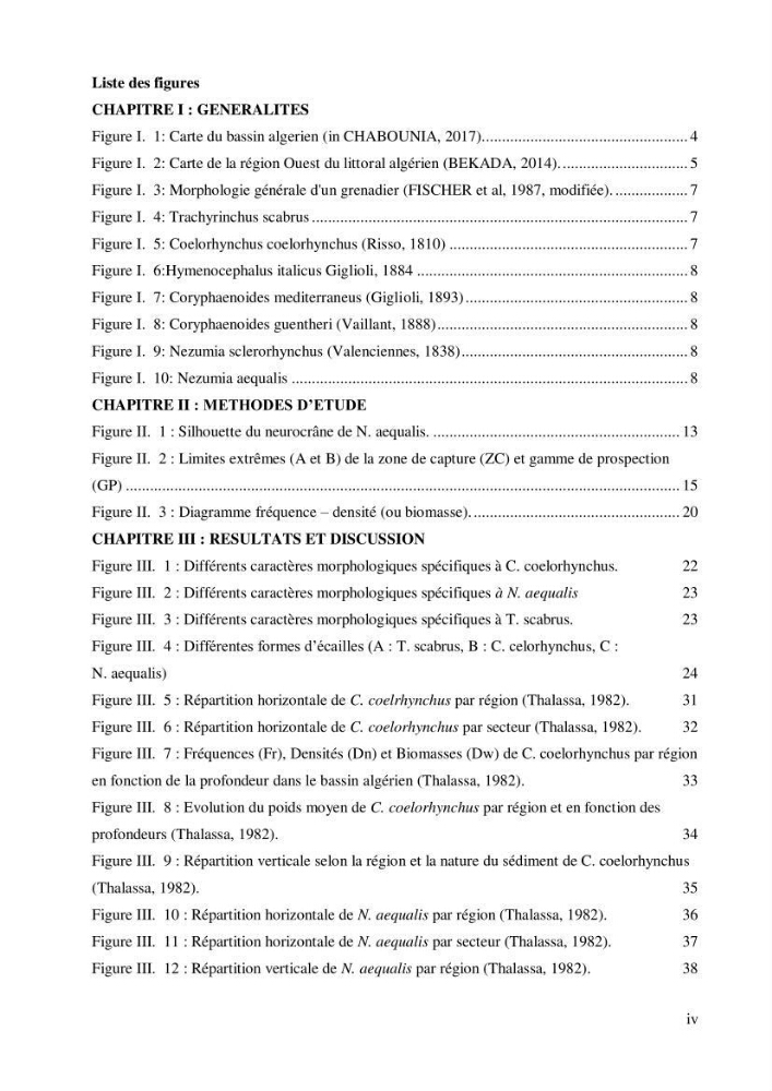 Contribution à l’étude de la famille des Macrouridae (Actinopterygii Gadiformes) dans le bassin algérien: systématique et écologie.