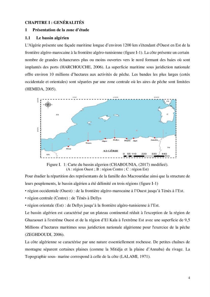 Contribution à l’étude de la famille des Macrouridae (Actinopterygii Gadiformes) dans le bassin algérien: systématique et écologie.