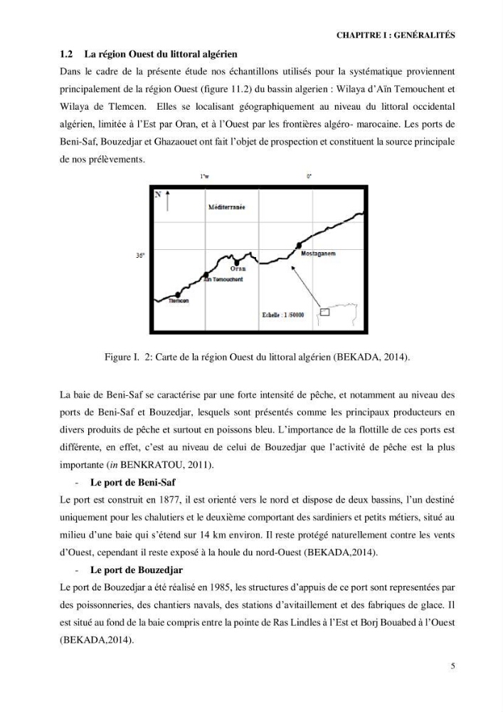 Contribution à l’étude de la famille des Macrouridae (Actinopterygii Gadiformes) dans le bassin algérien: systématique et écologie.