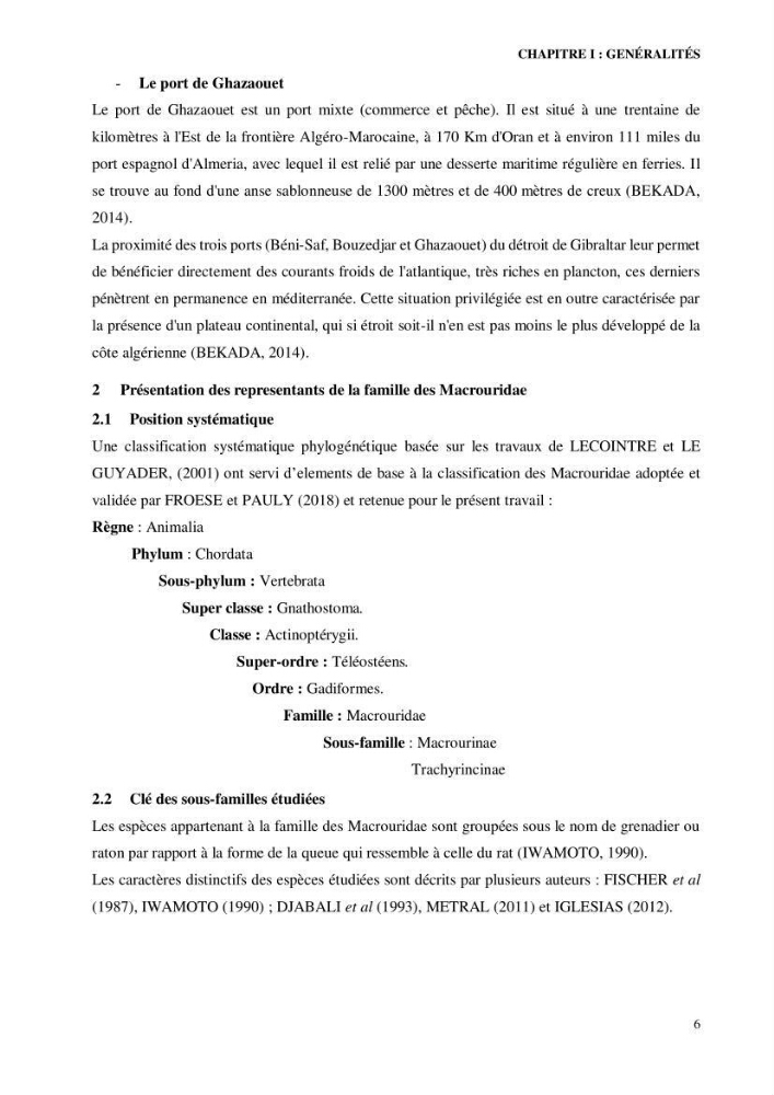 Contribution à l’étude de la famille des Macrouridae (Actinopterygii Gadiformes) dans le bassin algérien: systématique et écologie.