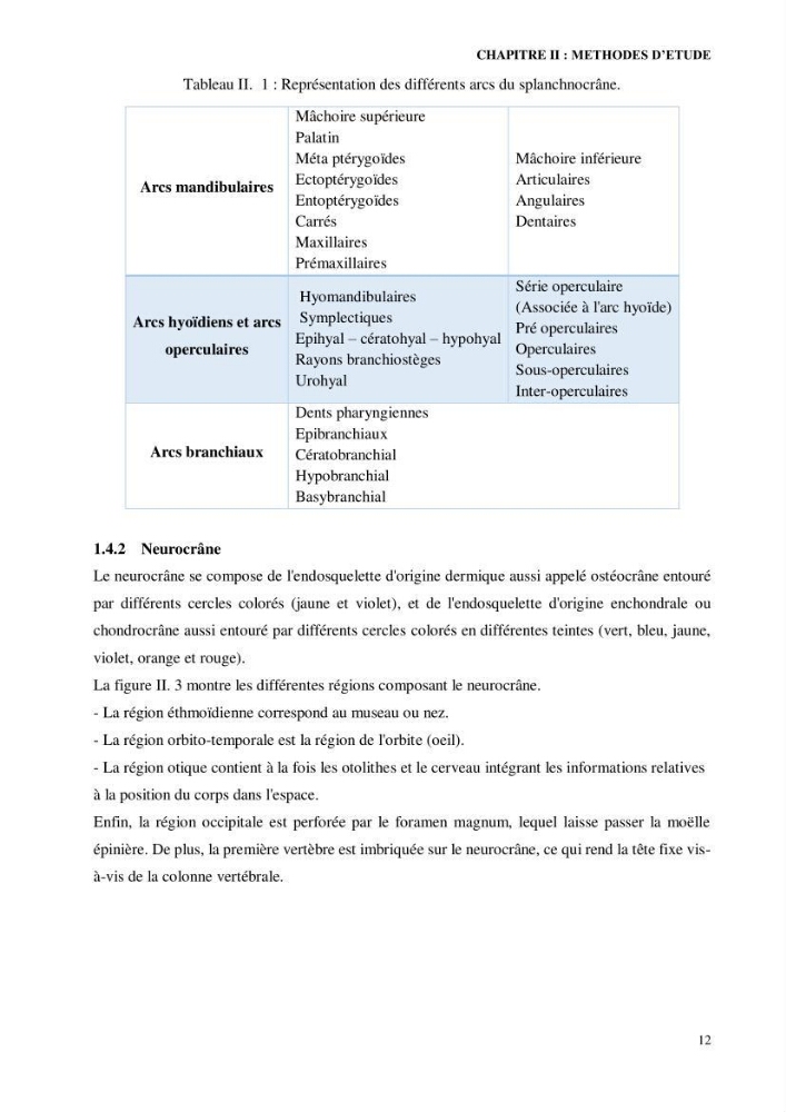 Contribution à l’étude de la famille des Macrouridae (Actinopterygii Gadiformes) dans le bassin algérien: systématique et écologie.
