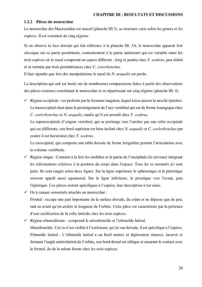 Contribution à l’étude de la famille des Macrouridae (Actinopterygii Gadiformes) dans le bassin algérien: systématique et écologie.