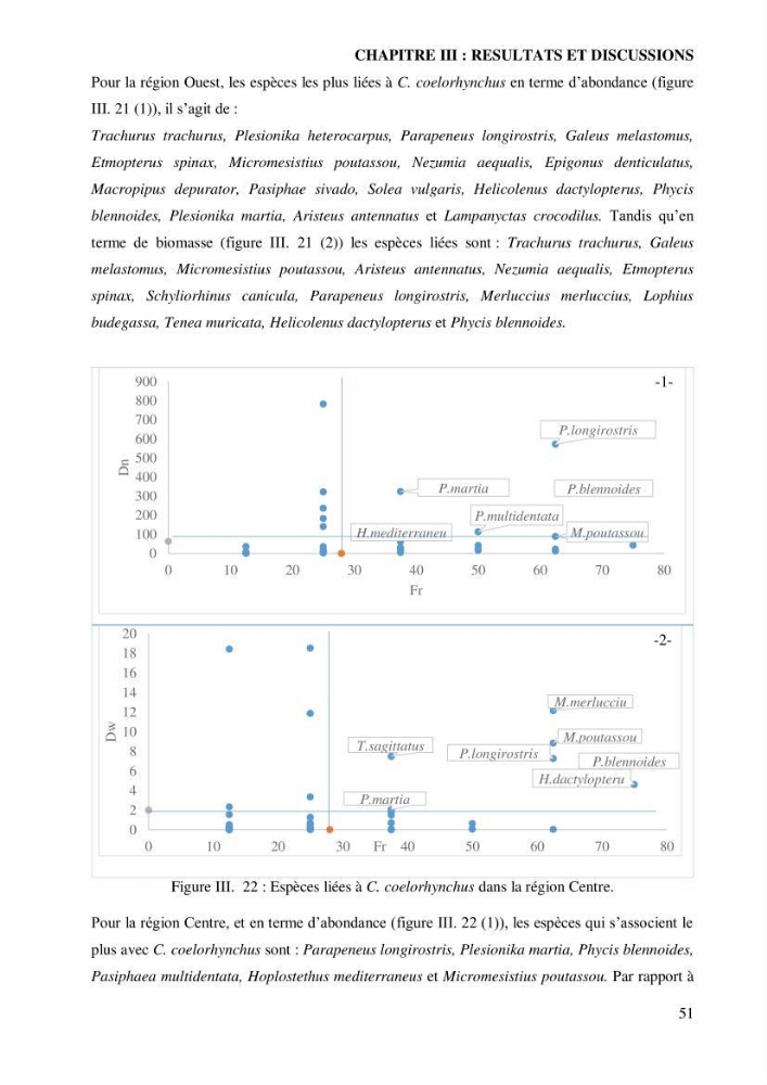 Contribution à l’étude de la famille des Macrouridae (Actinopterygii Gadiformes) dans le bassin algérien: systématique et écologie.