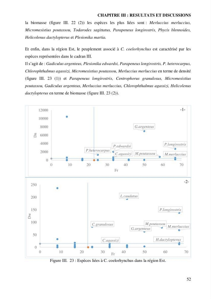 Contribution à l’étude de la famille des Macrouridae (Actinopterygii Gadiformes) dans le bassin algérien: systématique et écologie.