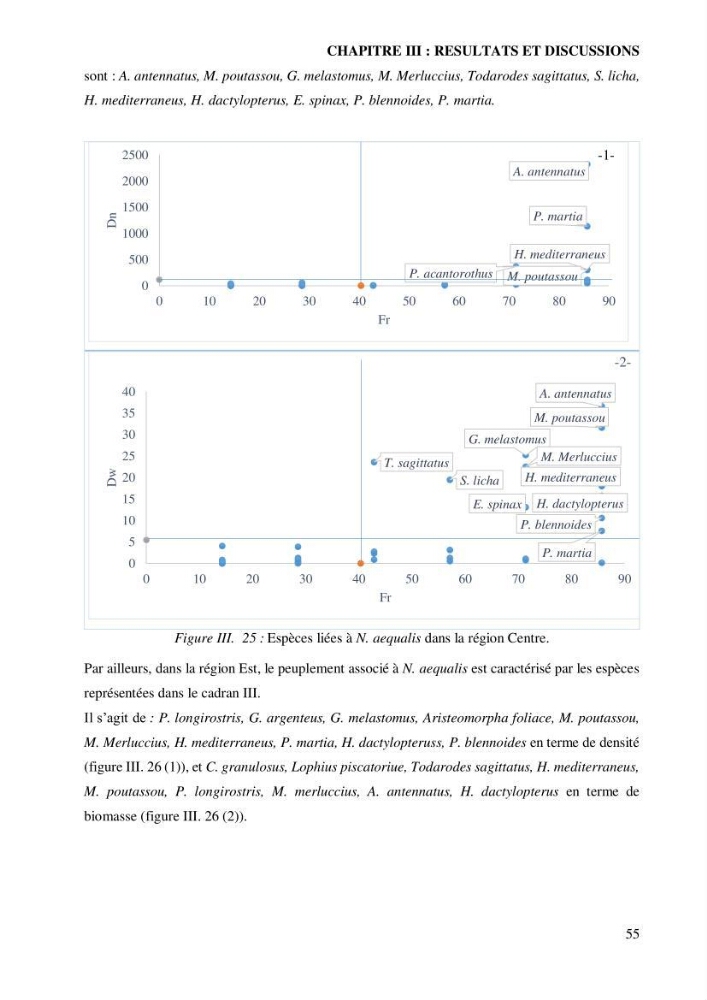 Contribution à l’étude de la famille des Macrouridae (Actinopterygii Gadiformes) dans le bassin algérien: systématique et écologie.