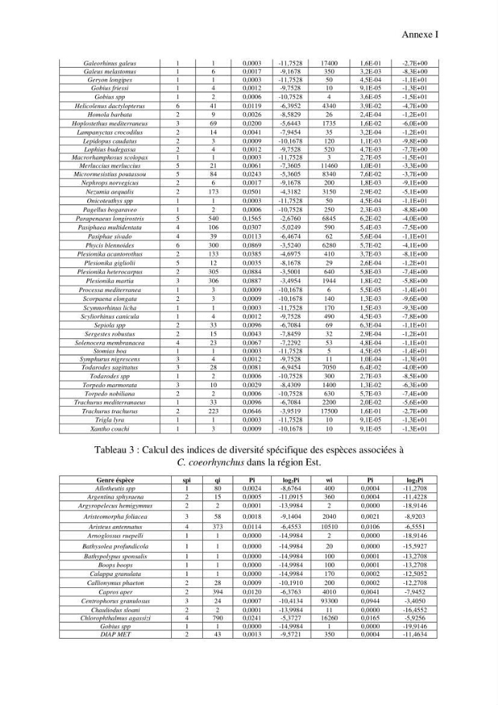 Contribution à l’étude de la famille des Macrouridae (Actinopterygii Gadiformes) dans le bassin algérien: systématique et écologie.