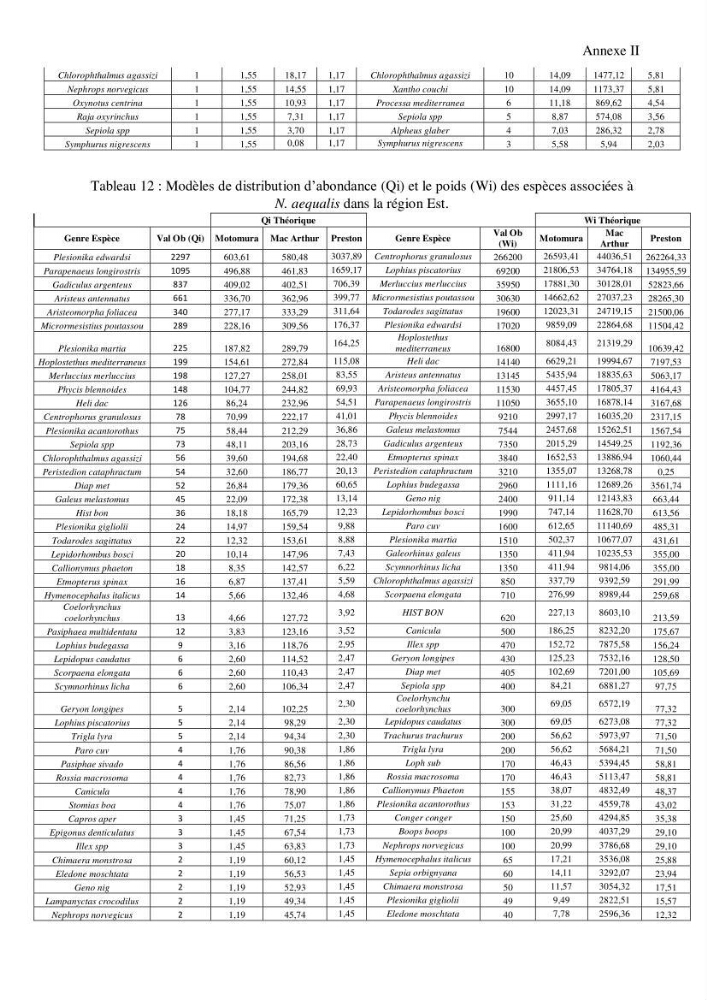 Contribution à l’étude de la famille des Macrouridae (Actinopterygii Gadiformes) dans le bassin algérien: systématique et écologie.