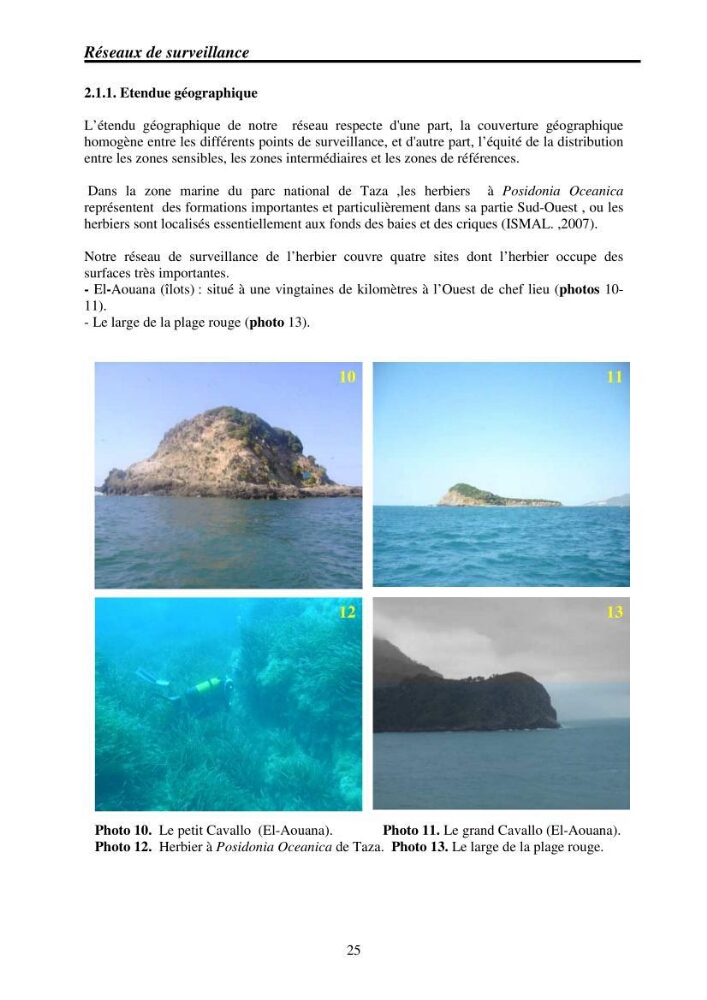 Mise en place de réseaux de surveillance environnementaux de la zone marine côtière de Taza ( wilaya de Jijel)
