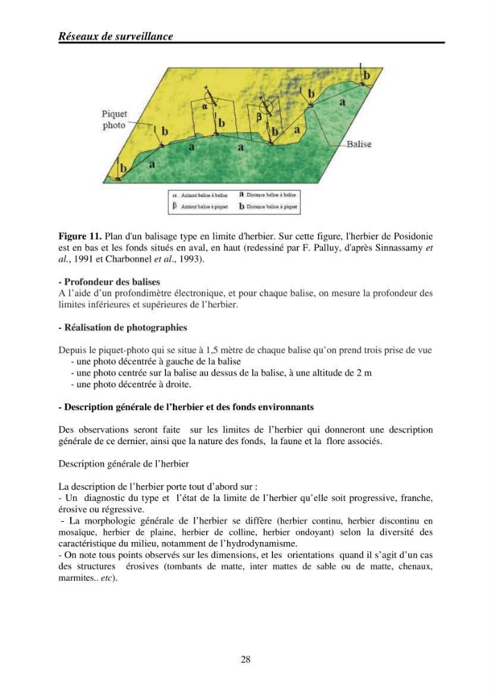 Mise en place de réseaux de surveillance environnementaux de la zone marine côtière de Taza ( wilaya de Jijel)