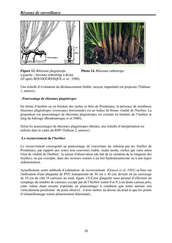 Mise en place de réseaux de surveillance environnementaux de la zone marine côtière de Taza ( wilaya de Jijel)