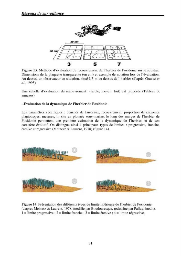 Mise en place de réseaux de surveillance environnementaux de la zone marine côtière de Taza ( wilaya de Jijel)