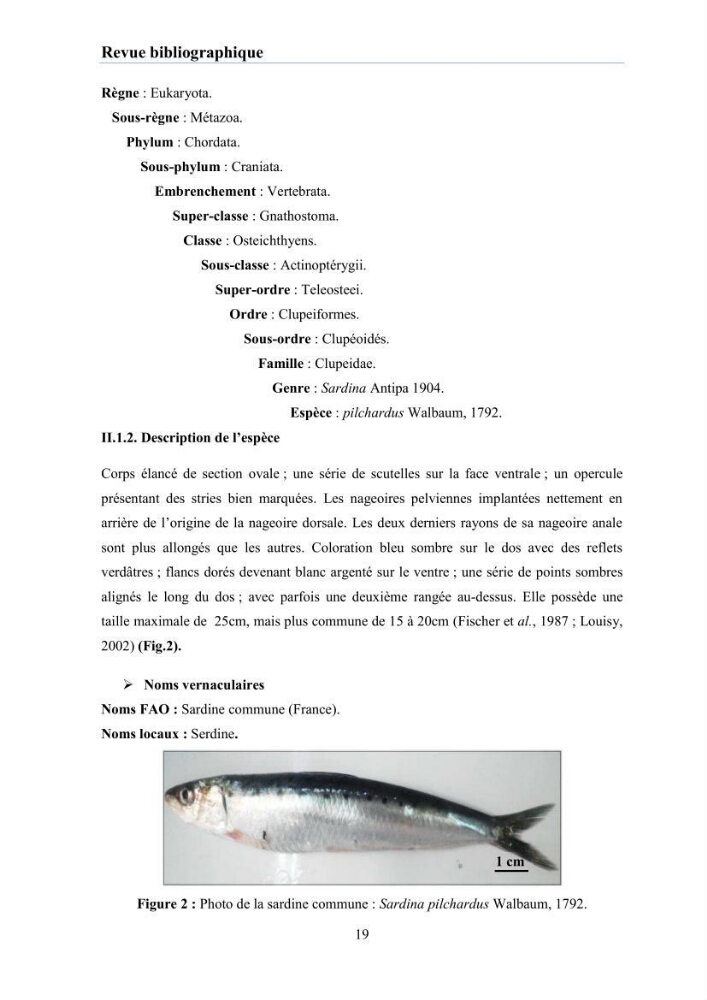 Evaluation et caractérisation de la résistance aux antibiotiques chez des bactéries à Gram négatif isolées à partir de milieux et d’animaux aquatiques