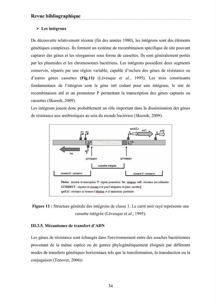 Evaluation et caractérisation de la résistance aux antibiotiques chez des bactéries à Gram négatif isolées à partir de milieux et d’animaux aquatiques