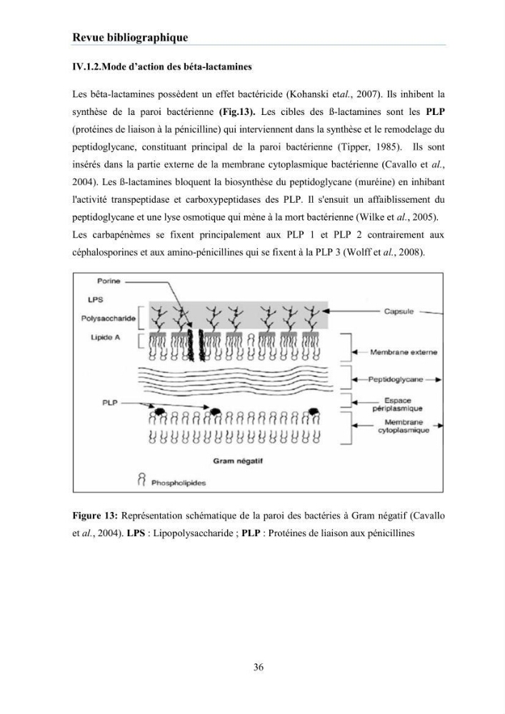 Evaluation et caractérisation de la résistance aux antibiotiques chez des bactéries à Gram négatif isolées à partir de milieux et d’animaux aquatiques