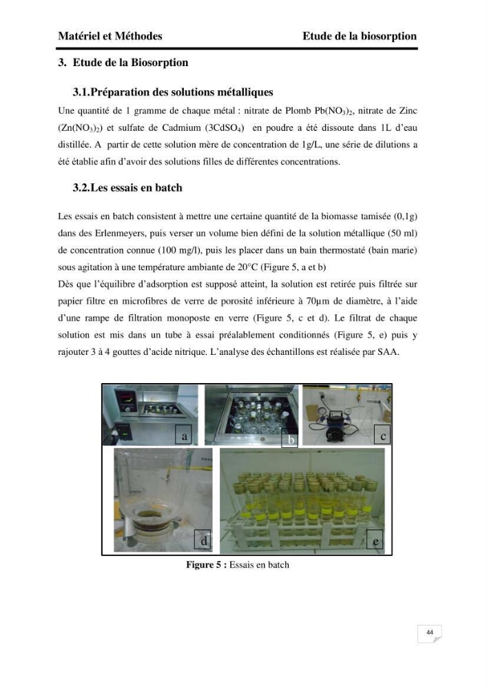 Etude de la biosorption des éléments traces métaliques (Pb2+,Cd2+,et Zn2+) sur une biomasse marine