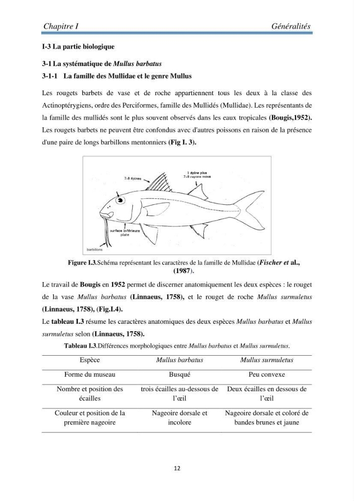 Contribution à l’étude bioéconomique de la pêche chalutière cas de rouget de vase ( Mullus barbatus) de la région centre du bassin Algérien: