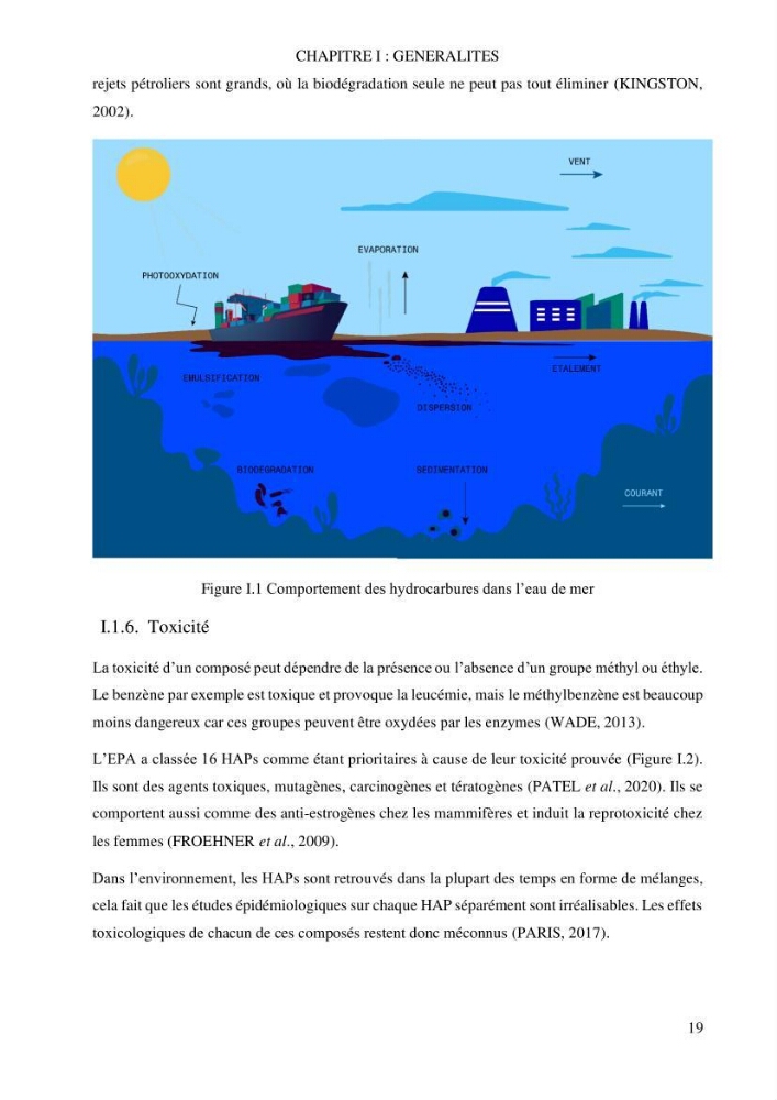 Evaluation du pouvoir de rétention des hydrocarbures aromatiques polycycliques dans la matrice sédimentaire de la baie d’El Djamila
