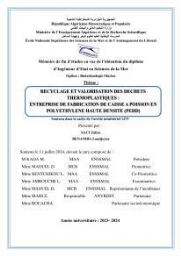 Recyclage et valorisation des déchets thermoplastiques entreprise de fabrication de caisse a poisson en polyethylene haute densité ( PEHD)