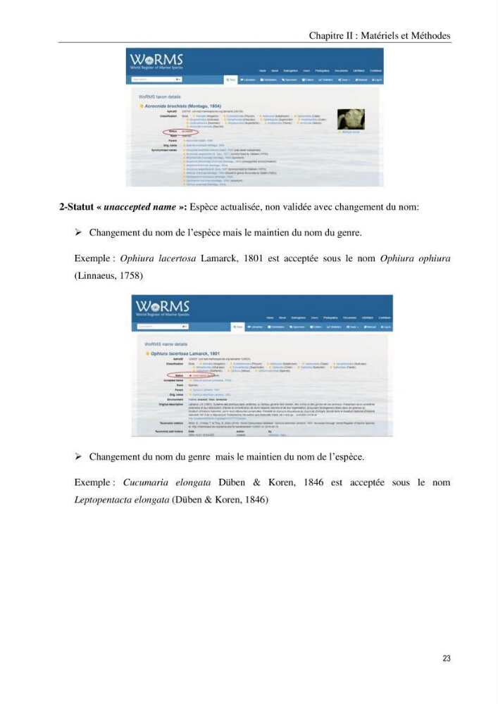 Inventaire et systematique des echinodermes de la côte Algérienne