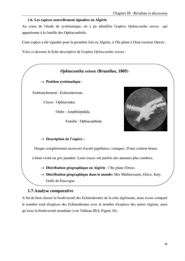 Inventaire et systematique des echinodermes de la côte Algérienne