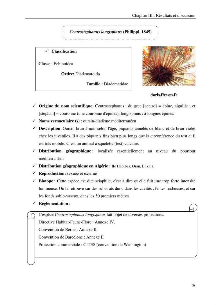 Inventaire et systematique des echinodermes de la côte Algérienne