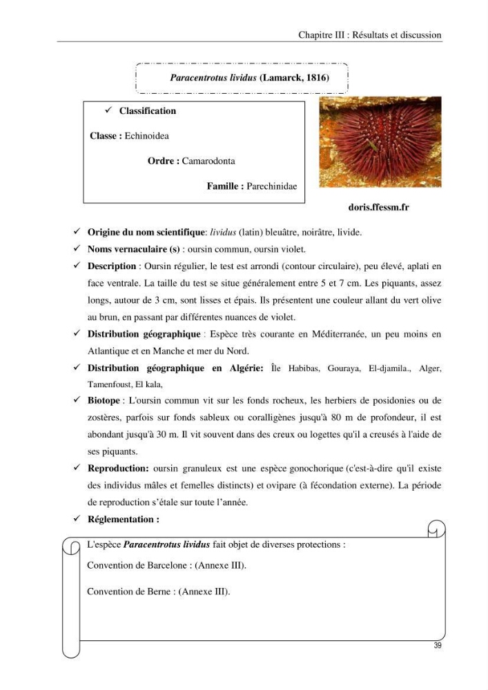 Inventaire et systematique des echinodermes de la côte Algérienne