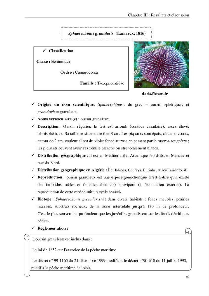 Inventaire et systematique des echinodermes de la côte Algérienne