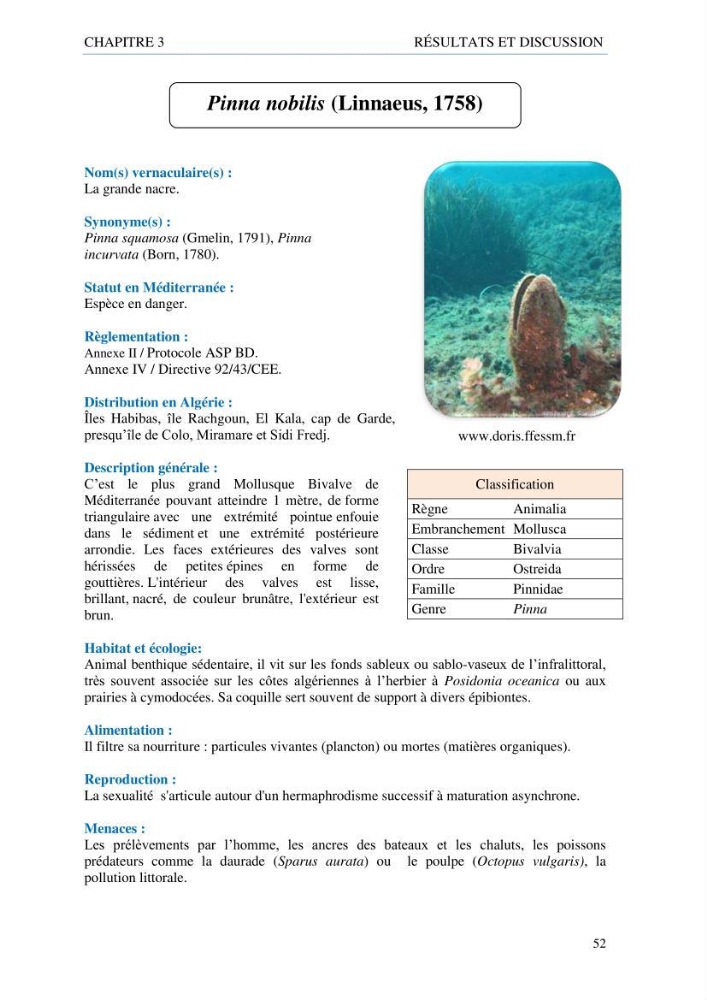 inventaire de la faune et de la flore marine d\'intérêt écologique des sites remarquables de la côte Ouest Algérienne