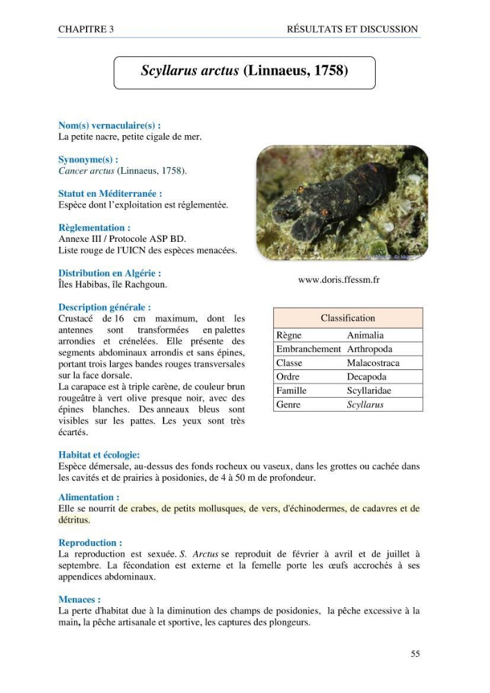 inventaire de la faune et de la flore marine d\'intérêt écologique des sites remarquables de la côte Ouest Algérienne