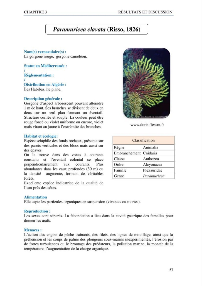 inventaire de la faune et de la flore marine d\'intérêt écologique des sites remarquables de la côte Ouest Algérienne