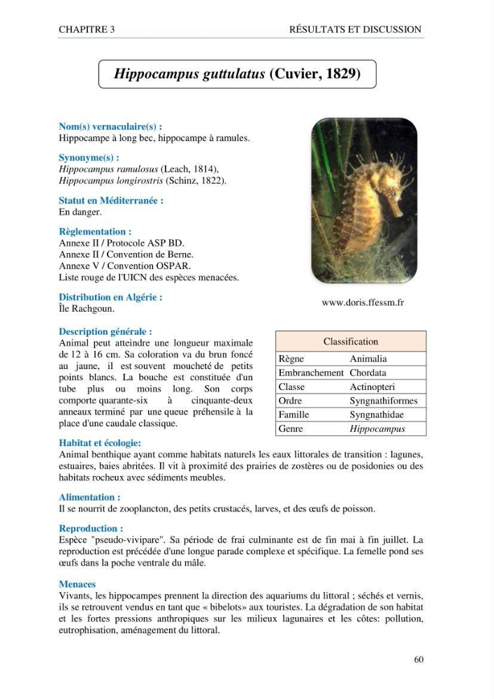 inventaire de la faune et de la flore marine d\'intérêt écologique des sites remarquables de la côte Ouest Algérienne