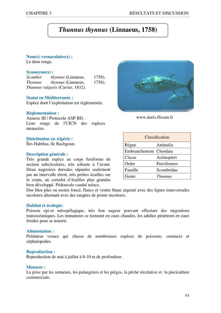 inventaire de la faune et de la flore marine d\'intérêt écologique des sites remarquables de la côte Ouest Algérienne