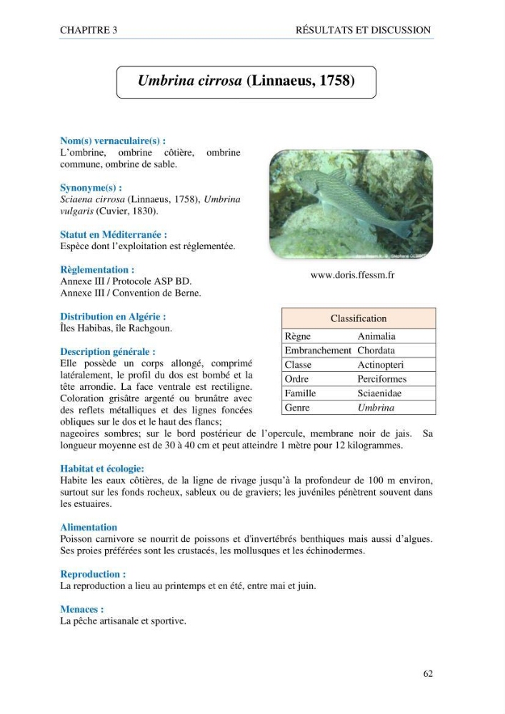 inventaire de la faune et de la flore marine d\'intérêt écologique des sites remarquables de la côte Ouest Algérienne