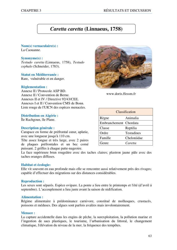 inventaire de la faune et de la flore marine d\'intérêt écologique des sites remarquables de la côte Ouest Algérienne