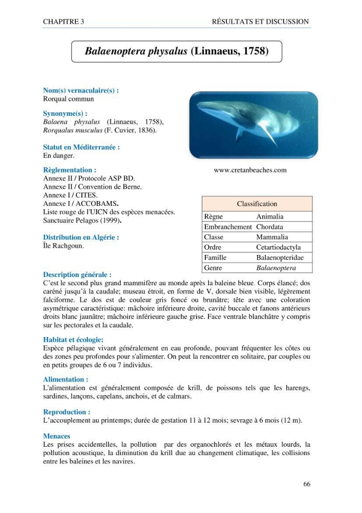 inventaire de la faune et de la flore marine d\'intérêt écologique des sites remarquables de la côte Ouest Algérienne