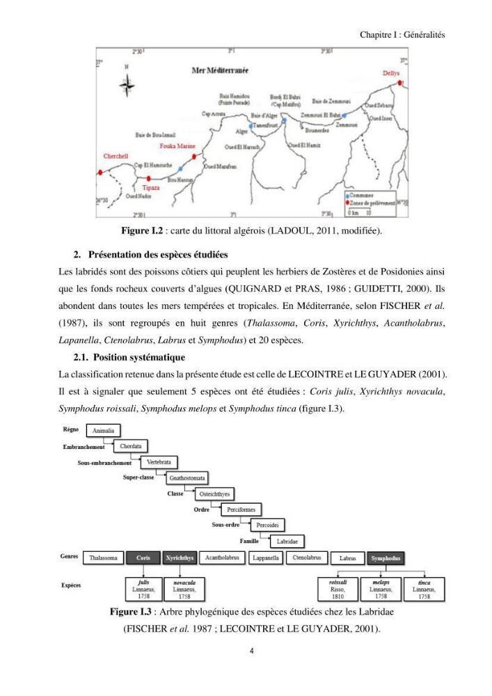 Contribution à l’étude comparative des stratégies alimentaires de cinq espèces de Labridae (Téléostéens, Perciformes) du bassin algérien.: