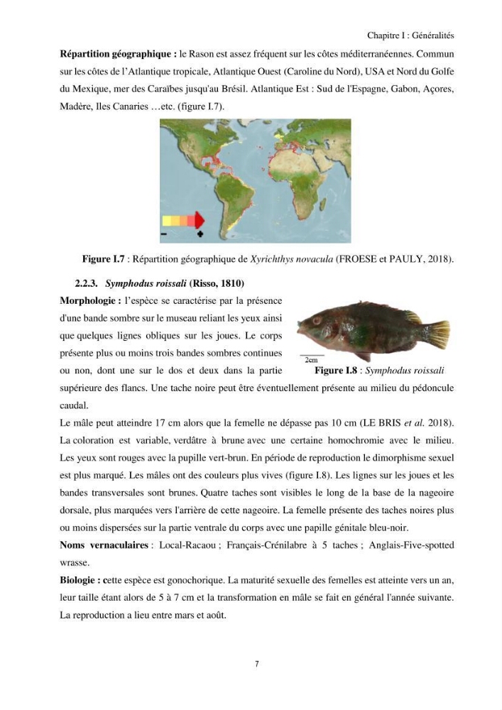Contribution à l’étude comparative des stratégies alimentaires de cinq espèces de Labridae (Téléostéens, Perciformes) du bassin algérien.: