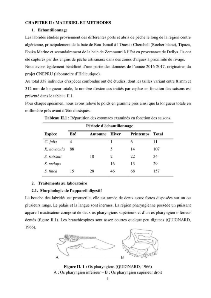 Contribution à l’étude comparative des stratégies alimentaires de cinq espèces de Labridae (Téléostéens, Perciformes) du bassin algérien.: