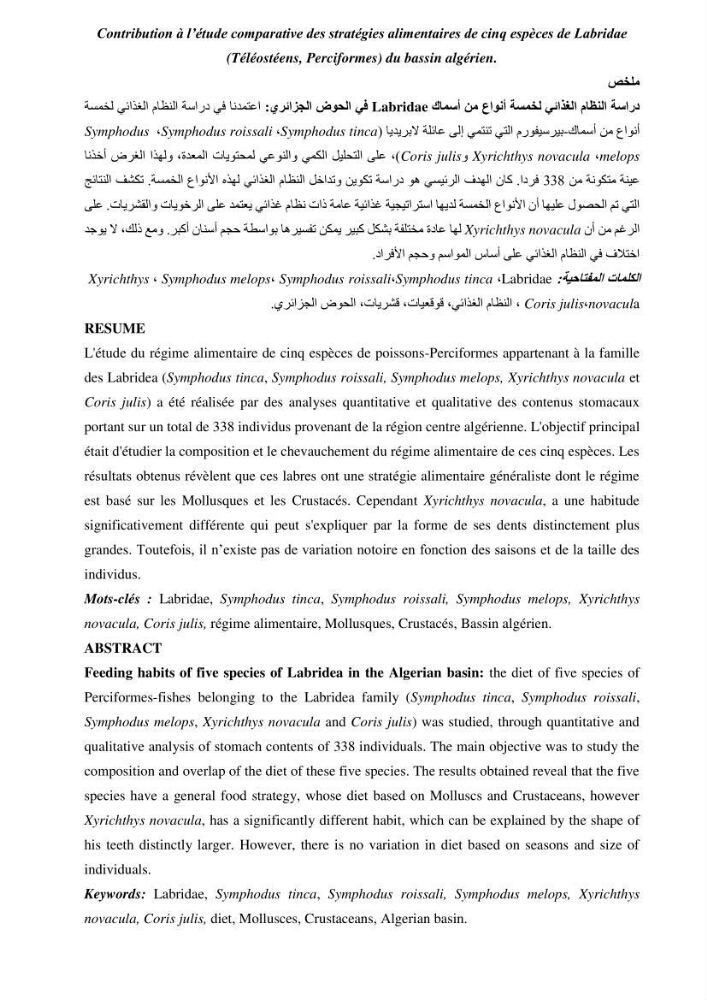 Contribution à l’étude comparative des stratégies alimentaires de cinq espèces de Labridae (Téléostéens, Perciformes) du bassin algérien.: