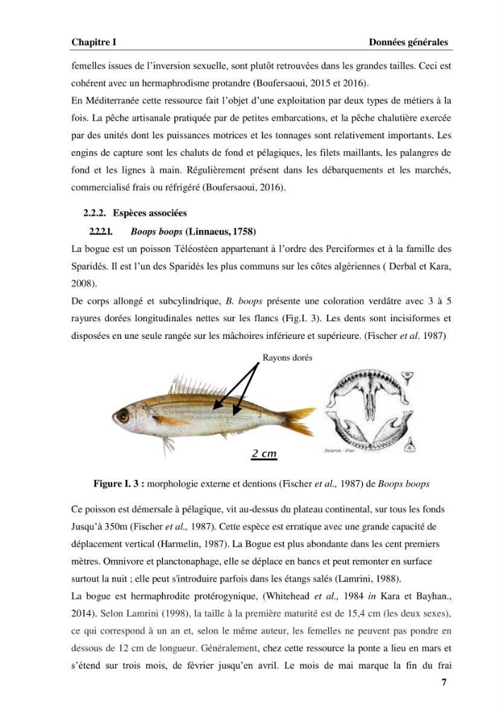 Elaboration d’un outil de simulation pour l’évaluation et de la gestion des pêcheries mixtes multi-flottille