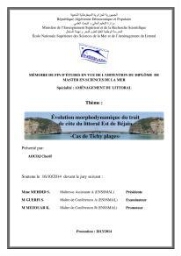 Evoluation morphodynamique du trait de côte du littoral Est de Béjaia: cas de Tichy plages