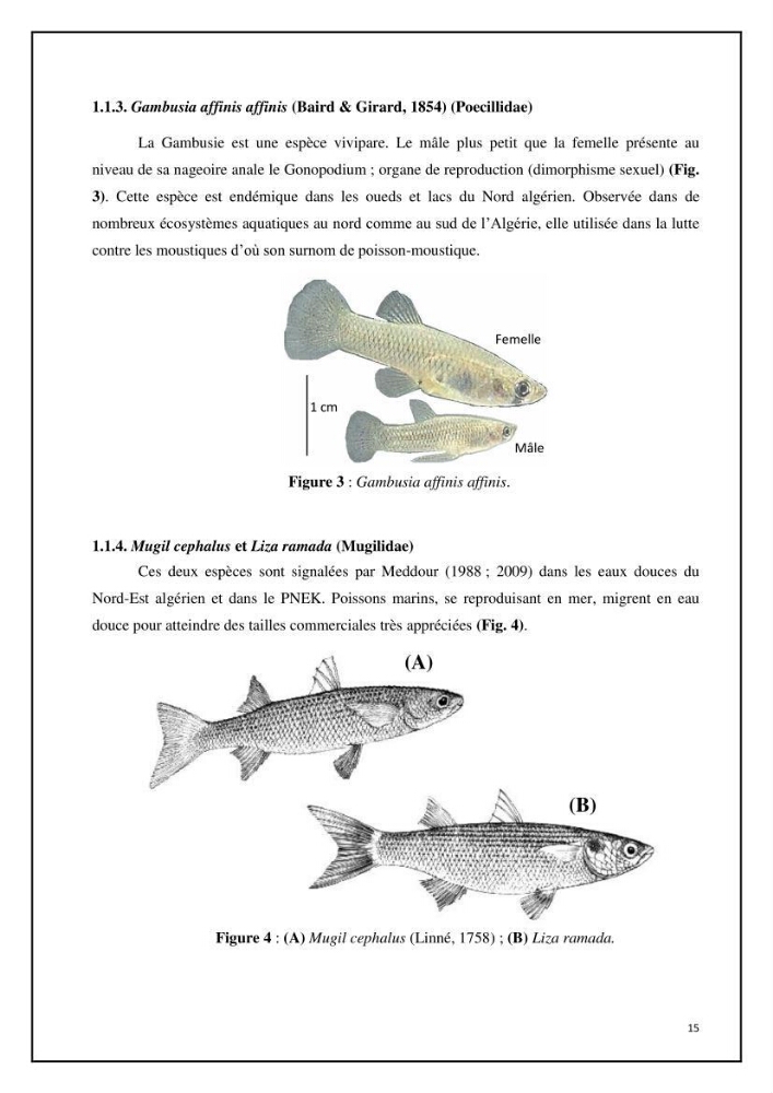 Inventaire de la parasitofaune des poissons dulcicoles d\'Algérie: