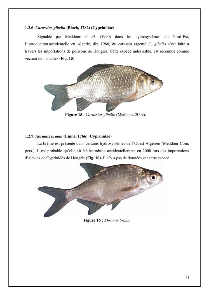 Inventaire de la parasitofaune des poissons dulcicoles d\'Algérie: