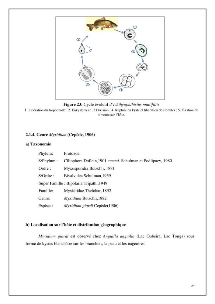 Inventaire de la parasitofaune des poissons dulcicoles d\'Algérie:
