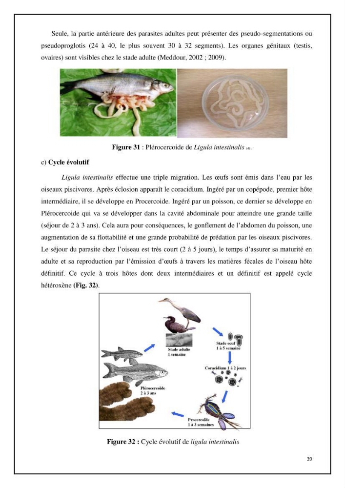 Inventaire de la parasitofaune des poissons dulcicoles d\'Algérie: