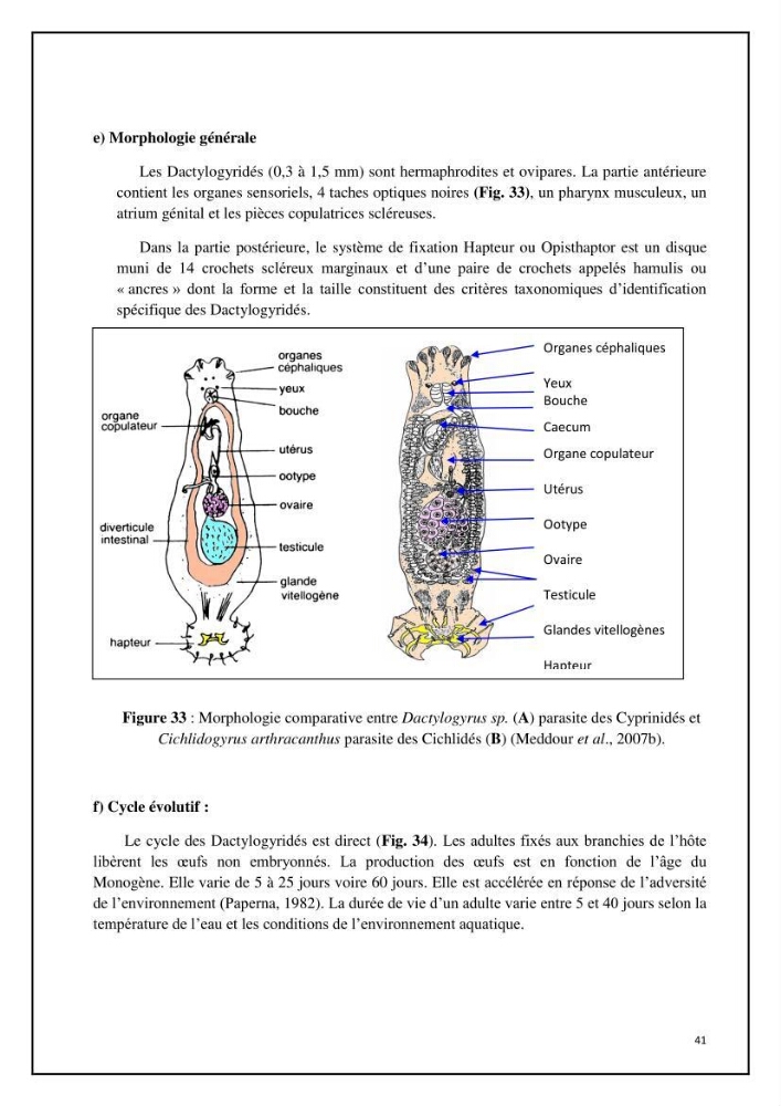 Inventaire de la parasitofaune des poissons dulcicoles d\'Algérie: